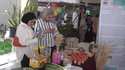 بابل: جامعة القاسم تنظم معرضا زراعيا بمشاركة 7 كليات (فيديو)
