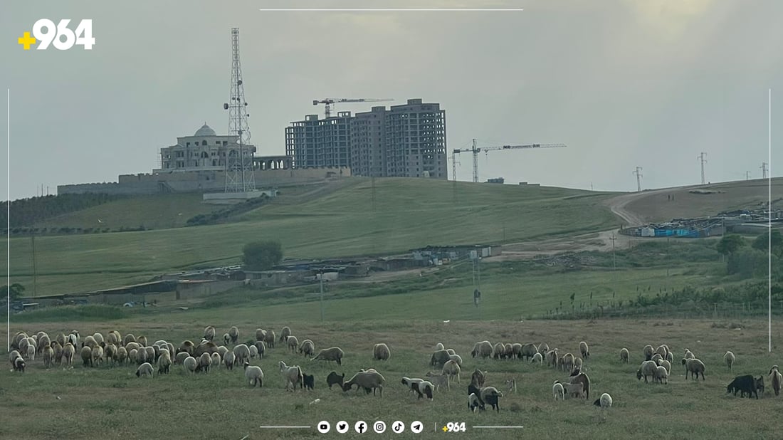 هەفتەیەكە ژمارەیەك نوسینگەی خانوبەرە لە سێمێڵ مانیانگرتووە