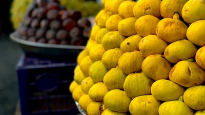 سێیەمین فێستیڤاڵی هەنجیر لە تەقتەق بەڕێوەدەچیت