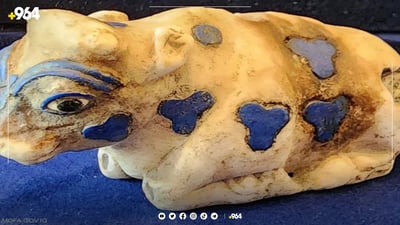 فیل و مانگاکە دەگەڕێنەوە عێراق