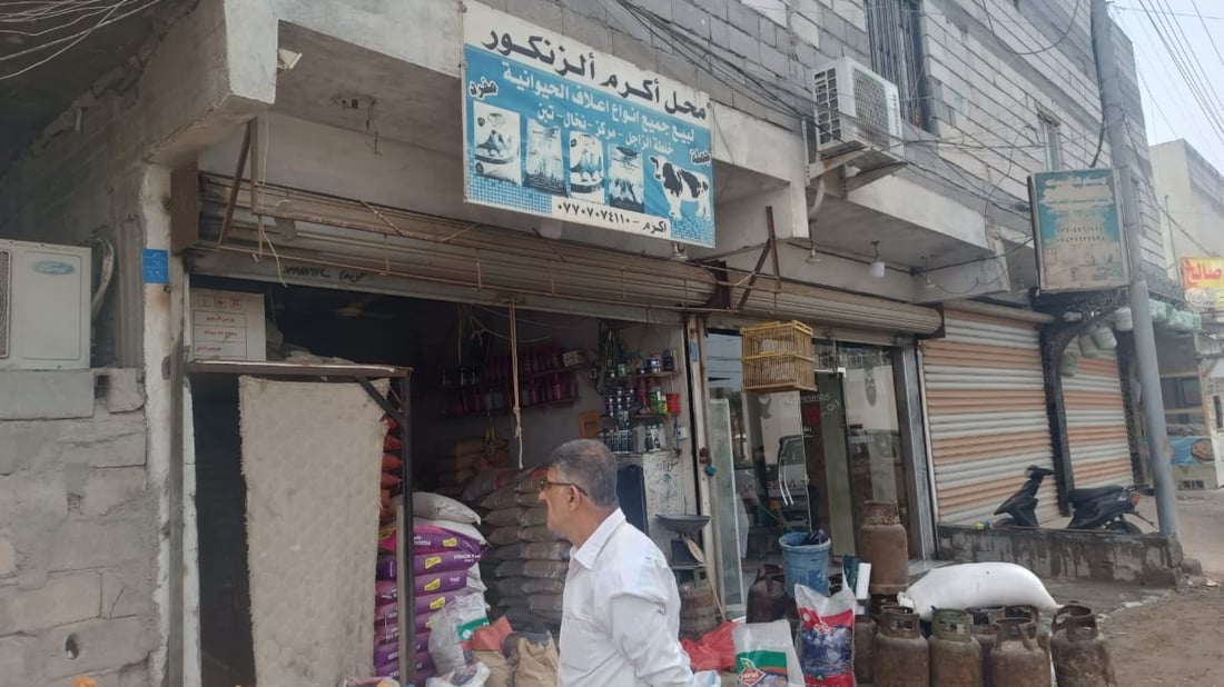 أعلاف البصرة من الكوت وزاخو و”المطيرجية” يحركون السوق.. أسعار أبو الخصيب اليوم