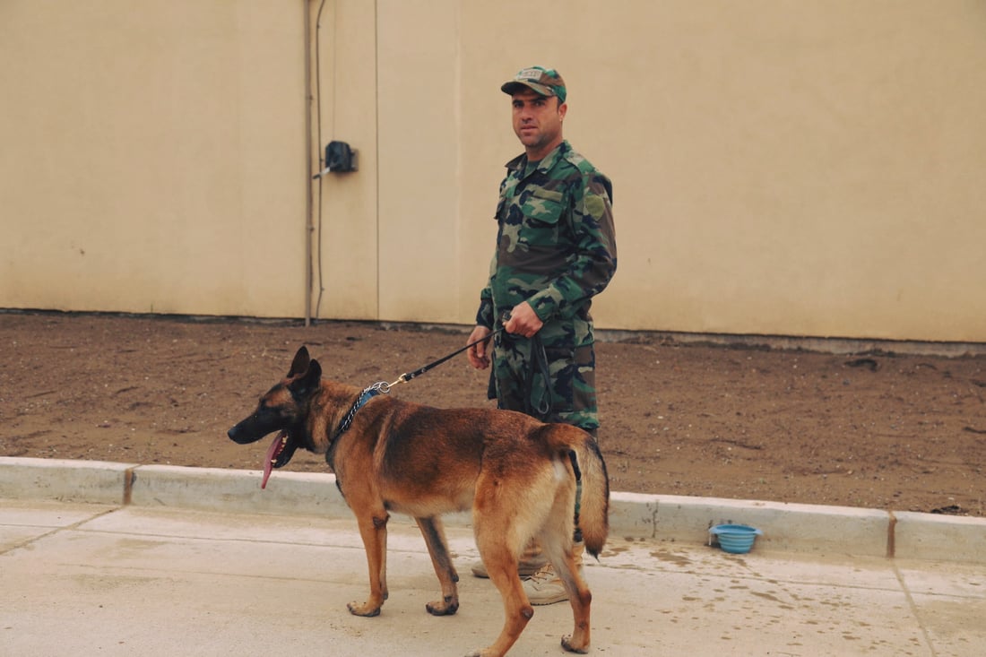  سەگەکانی K9ـى پێشمەرگە لە ناو کونسوڵخانەی ئەمریکا مەشق دەکەن