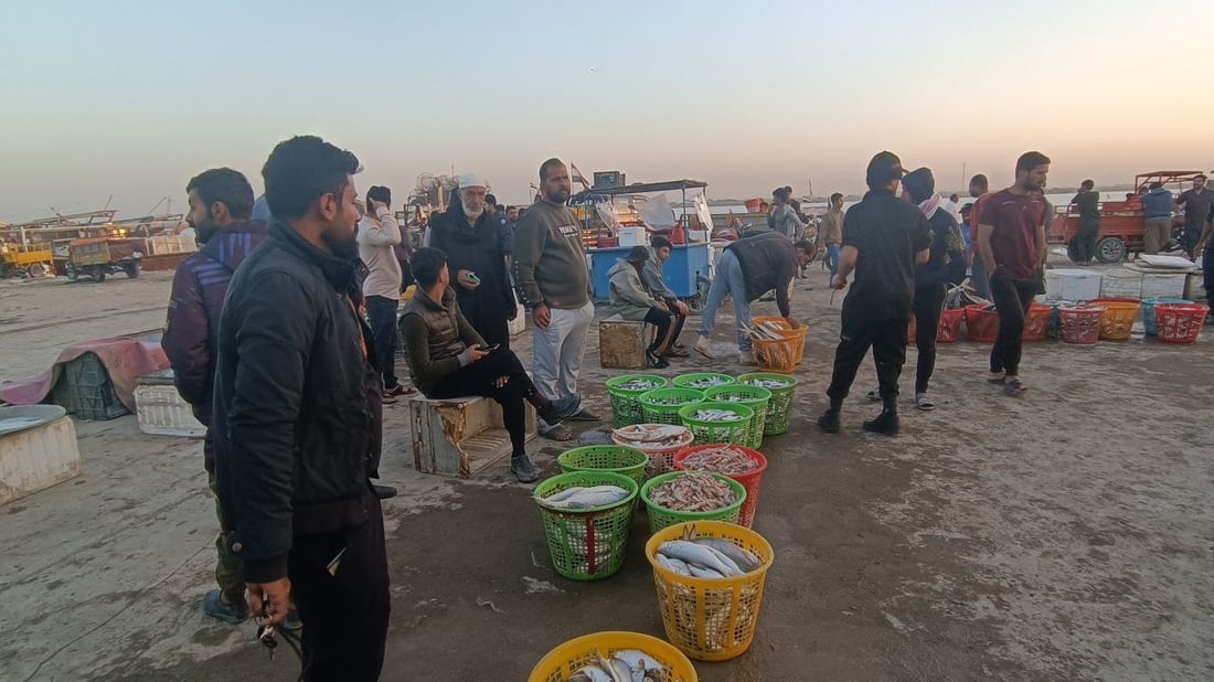 صور: “الحداكة” لم ينزلوا إلى البحر اليوم وأسعار الأسماك قفزت في النقعة