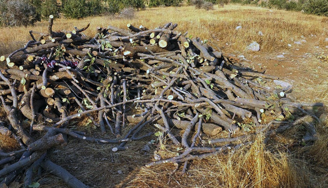 لەسەر داربڕین 15 رۆژ بەند دەکرێت