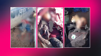 Syrian government forces killed six members of Kurdish family, CPT says