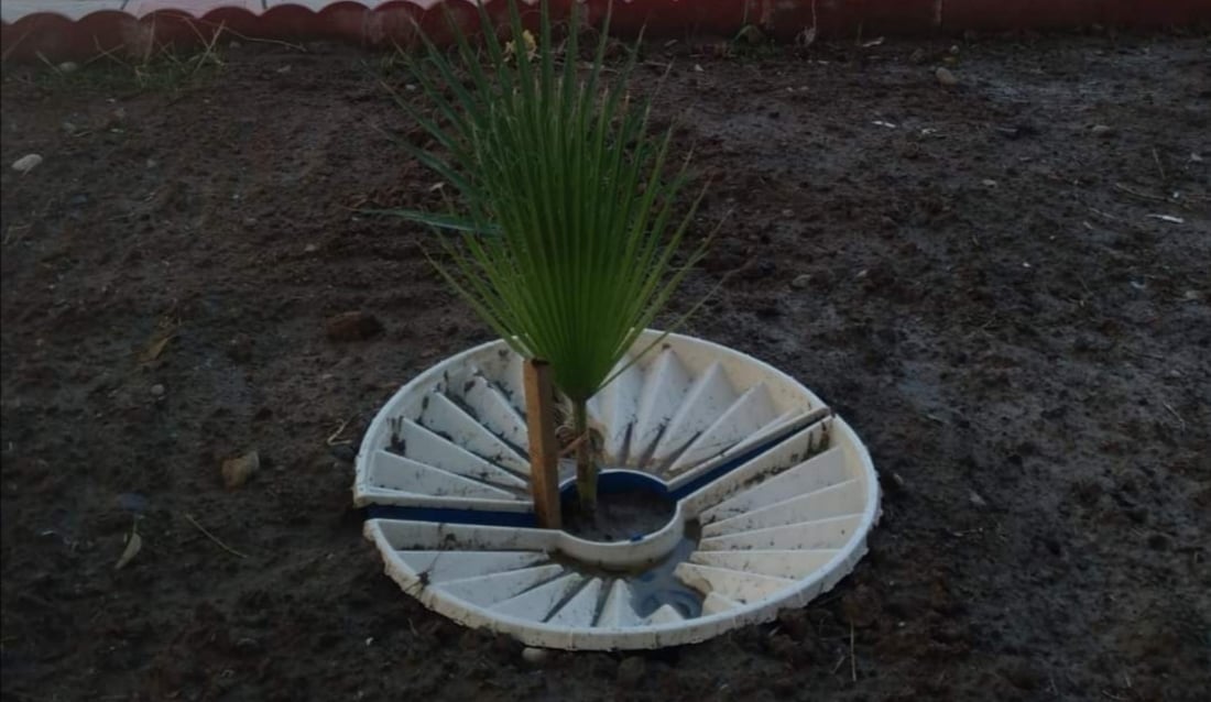 Kurdish company proposes innovative tree-watering system