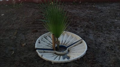 Kurdish company proposes innovative tree-watering system