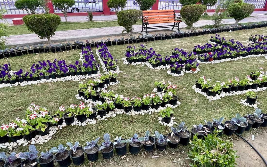 Basra’s city municipality hosts flower exhibition
