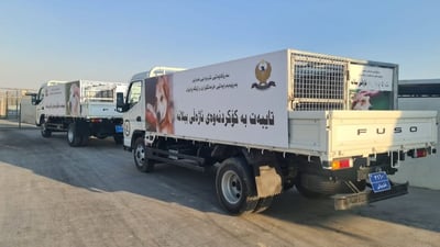 ژینگەپارێزی هەولێر: ژمارەیەک سەگی بێلانە بە شێوەیەکی نامرۆڤانە کۆکراونەتەوە