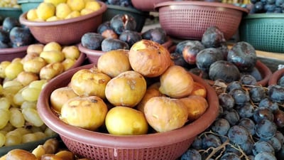 لن تخرج من الخالص دون شراء التين.. طعم “الحاتمية” و”الوزيري” لا يقاوم (صور)