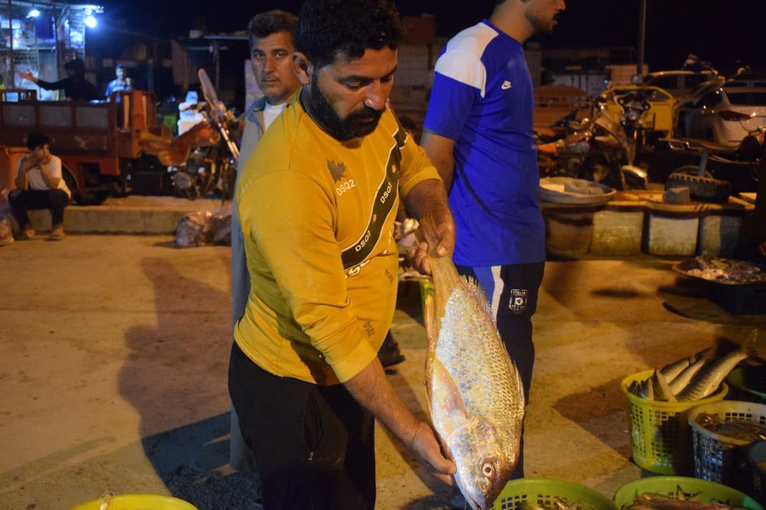 صور: رحلة صيد استمرت 5 أيام في عرض البحر تملأ مزاد النقعة بالأسماك