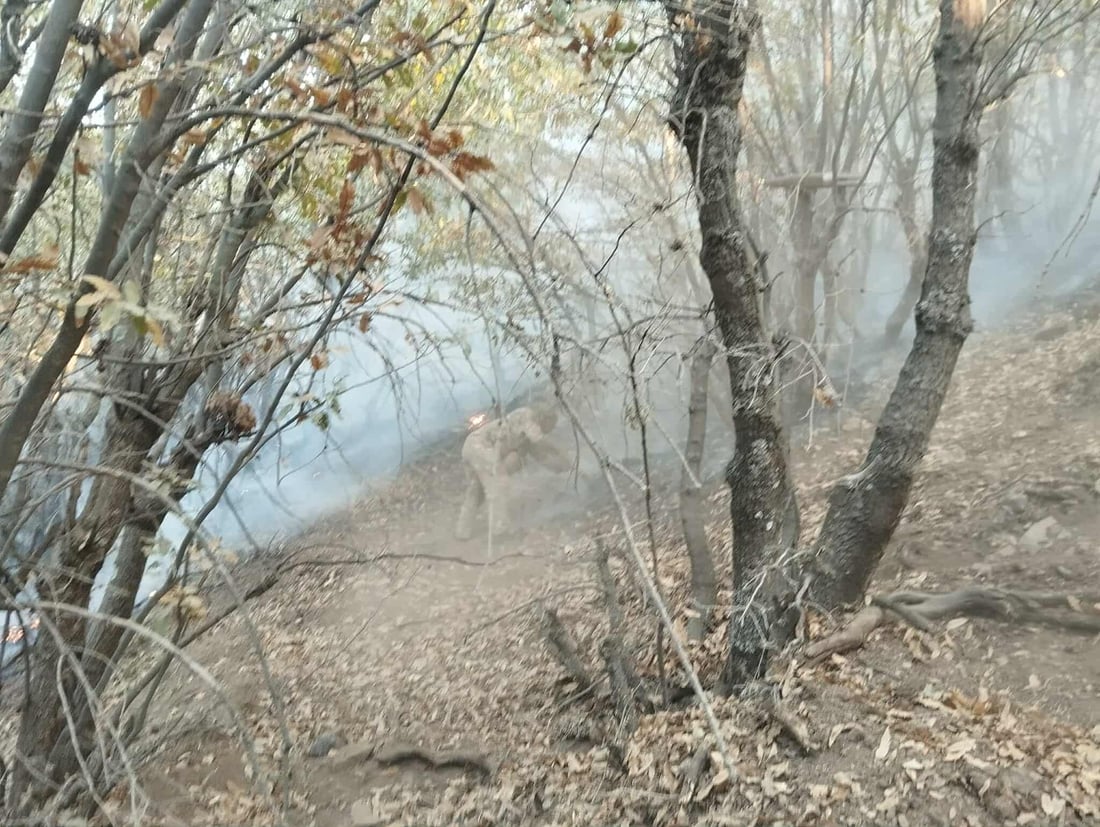 20 دۆنم دارستان و پوش و پاوان و رەز و باخى هاوڵاتیانى گوندى باراو سووتا