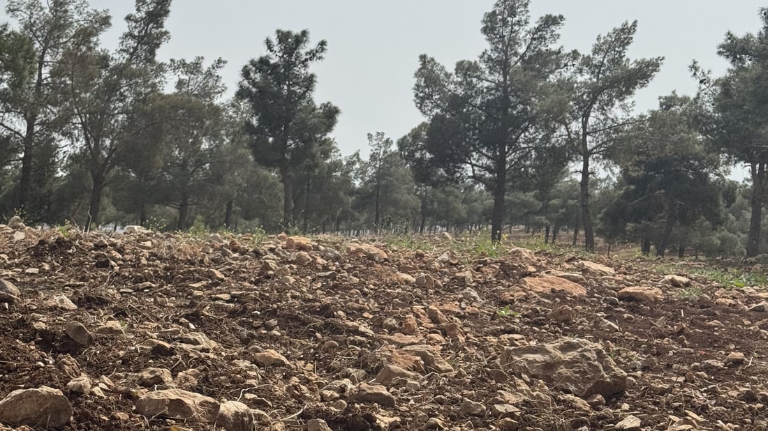 زەوییەکانی پاڵاسی کۆیە کێڵدراون و چیتر به‌كه‌ڵكی گەشت و سه‌یرانى هاوڵاتیان نه‌ماون