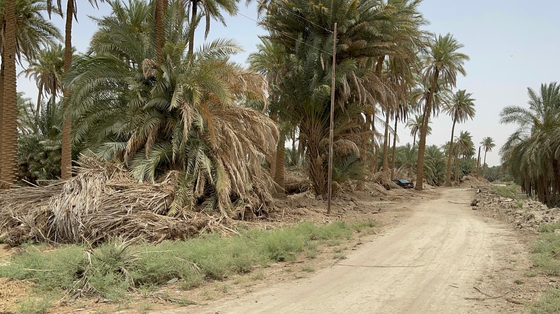 قرية في النجف تطرد نصف سكانها.. الخدمات صفر والمياه تقتل الناس بسوء الهضم (صور)