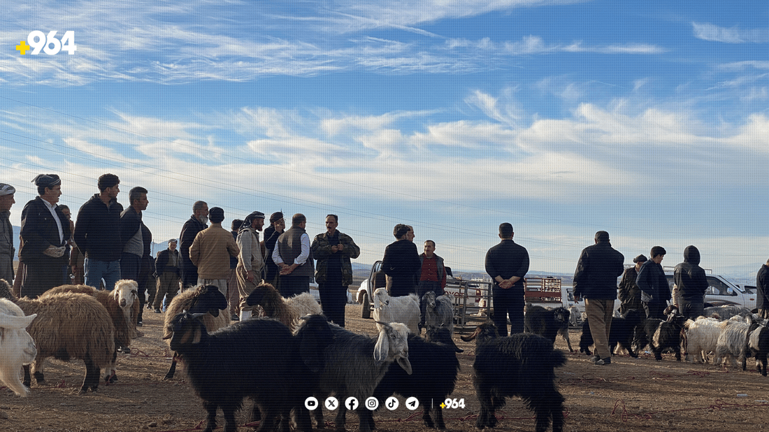 لە هەریر مەیدانێکی جیاوازی ئاژەڵان کراوەتەوە