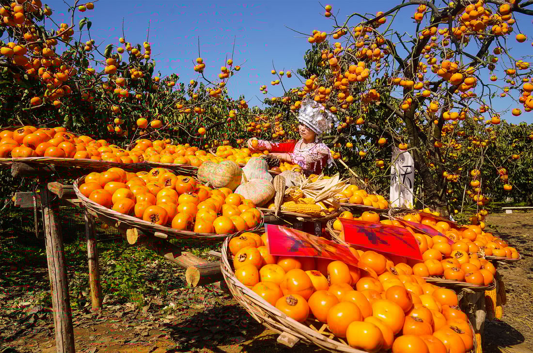 قەزایەک لە چین بە خورمالو  ملیۆنان گەشتیار رادەکێشێت