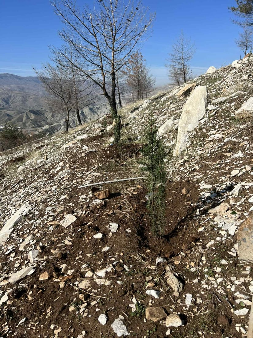هەڵمەتی جیاجیای ژینگەیی لە سنووری قەزای دوکان بەڕێوەدەچێت