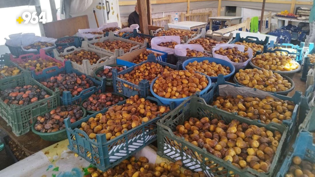 بورصة تمور الحلة: انخفاض حاد في أسعار المحلي والخليجي للميسورين فقط (صور)
