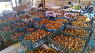 بورصة تمور الحلة: انخفاض حاد في أسعار المحلي والخليجي للميسورين فقط (صور)