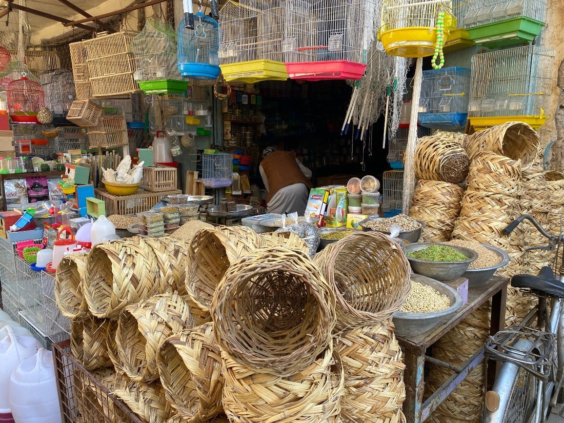 ملتقى “الجنّاية” منذ الخمسينيات.. جولة صورية داخل أقدم سوق للطيور في ميسان