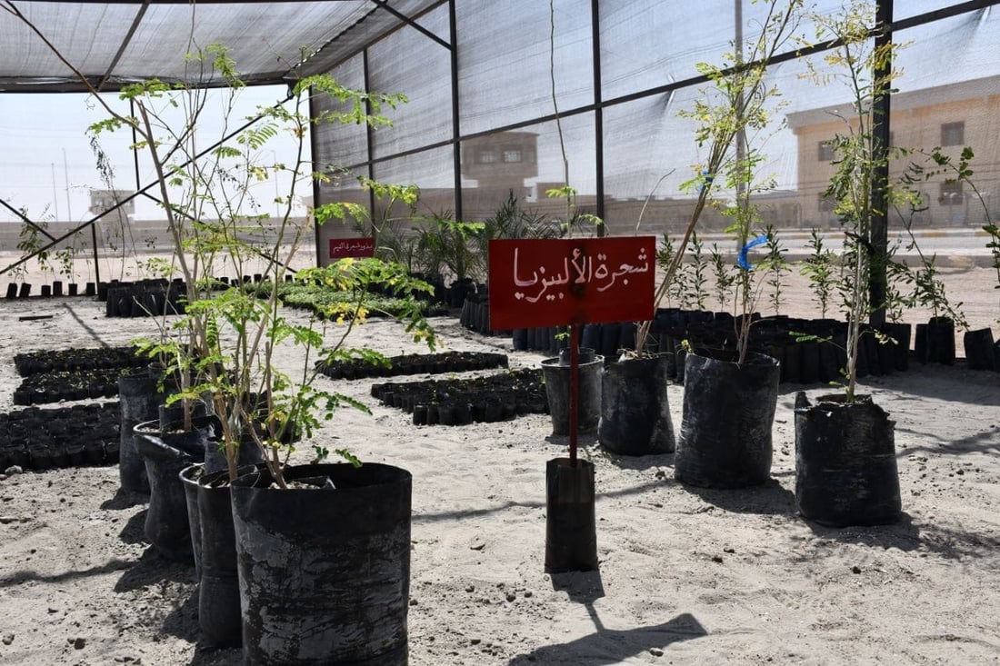 <?php echo get_the_title() ?>