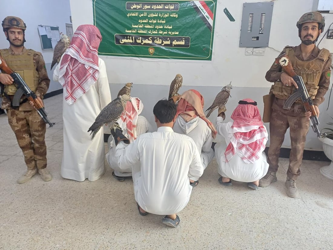 اعتقال 4 صيادين كويتيين ومرشد عراقي بحوزتهم 5 صقور في بادية المثنى