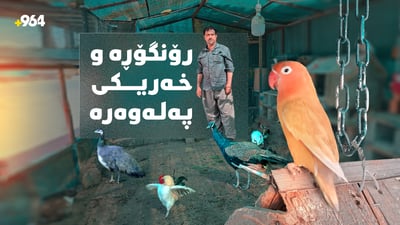 رۆنگۆڕێک باخچەی ئاژەڵانی داناوە و شارەوانیش پێی خۆشە