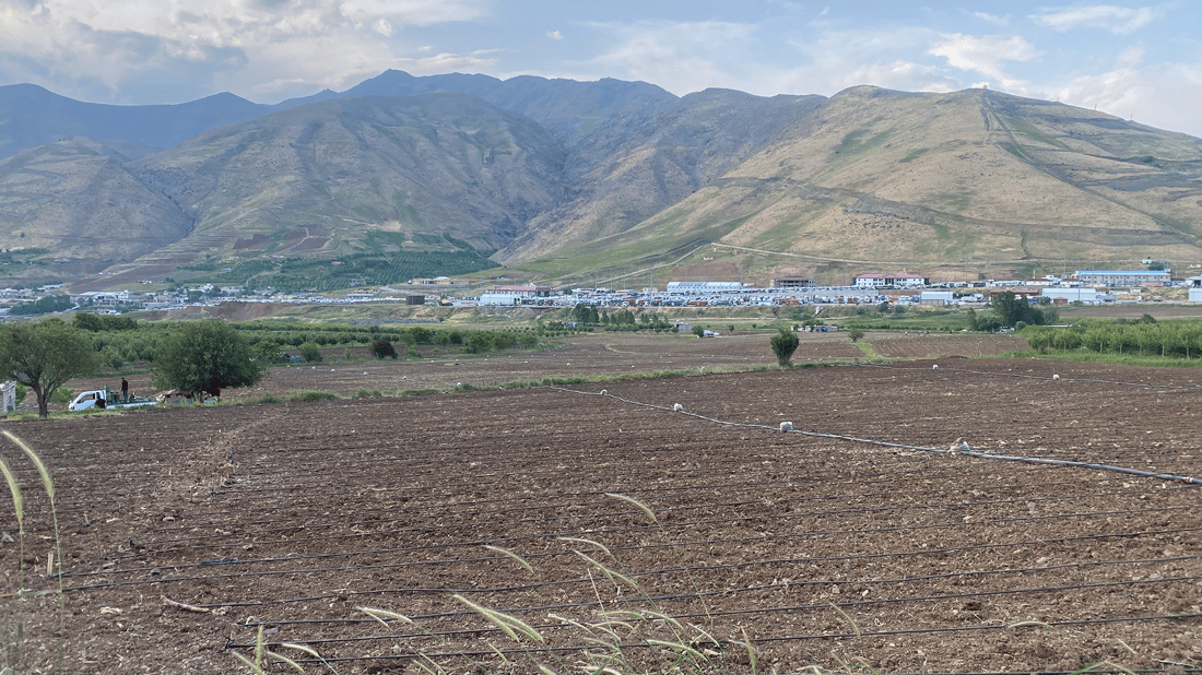 هەرجوتیارێک دوو زەوی هەبێت دەبیت یەکێکیان داچێنێت