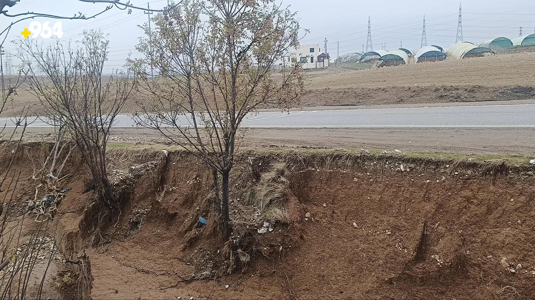 بچن بەهانای درەختەکانی نێوان تەکیە بۆ چەمچەماڵ