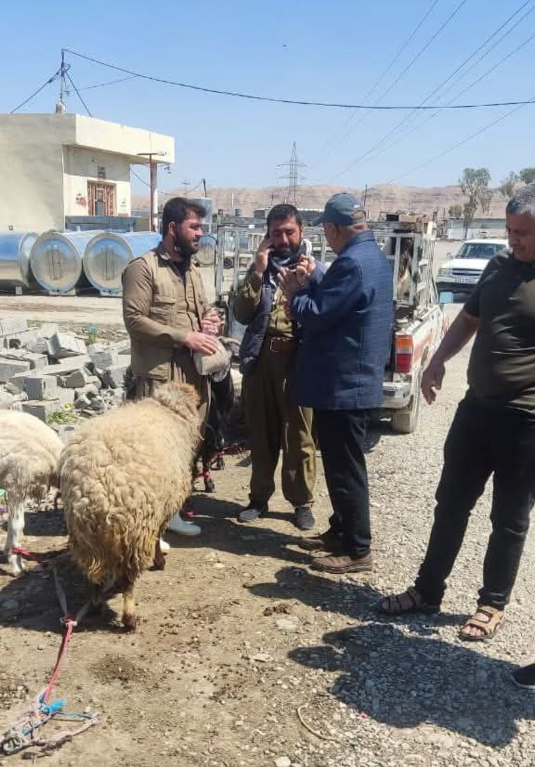 تاى خوێنبەربوون کۆتایى بە گۆشتفرۆشتنى سەر شەقامەکان دەهێنێت