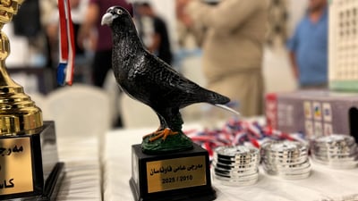 باشترین کۆتری فاو لە هەولێر دیاری کرا