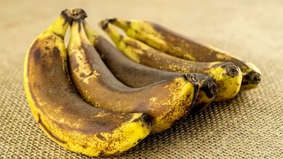 بۆ کرداری پیتاندن مۆز لە کێڵگە کشتوکاڵییەکان هەڵبواسن