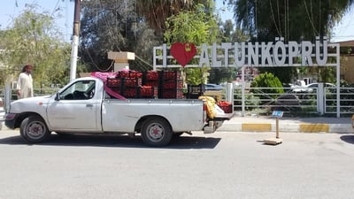 صور صباحية من آلتون كوبري: أسعار الخضار والفواكه تنخفض إلى النصف بفضل الصيف