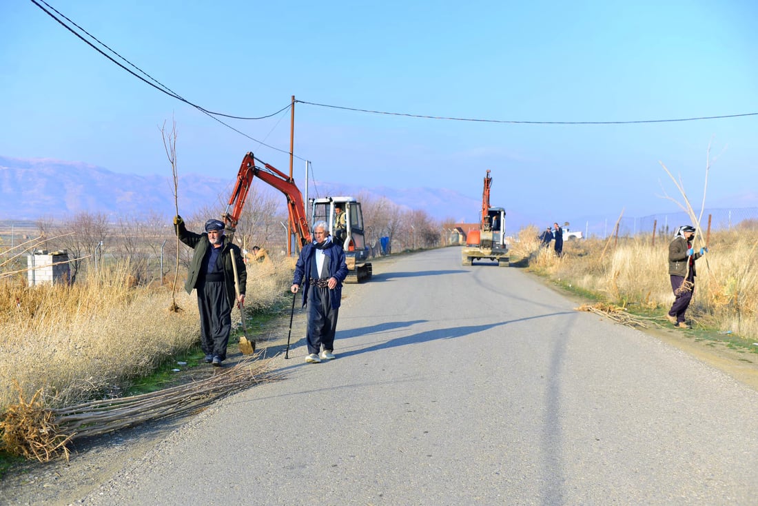 له‌ پێنجوێن 24 هه‌زار دار توو چێندراوه‌