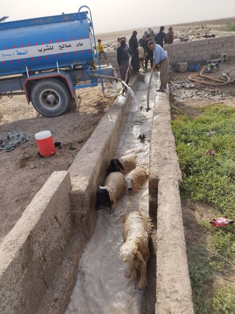 یه‌كه‌م حاڵه‌تى گیان له‌ده‌ستدان به‌هۆى تای خوێنبەربون له‌كه‌ركوك تۆمار كرا