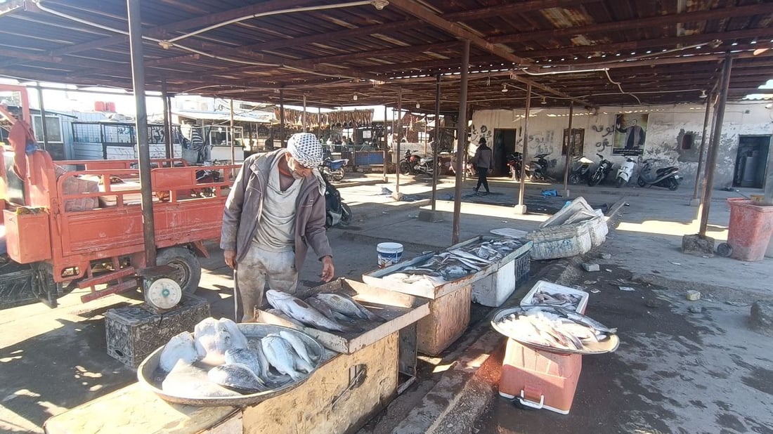 الأكالة يبحثون عن بيوض السمك في نقعة الفاو.. علبة “الثروب” بـ10 آلاف (صور)