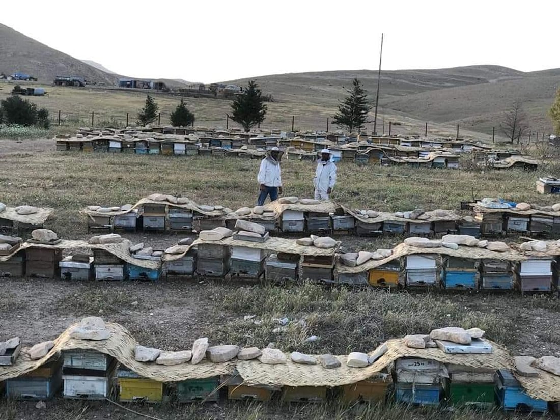 بارانى كه‌م هه‌نگوینى ئه‌مساڵى چیاى شنگالى نه‌هێشتووه‌