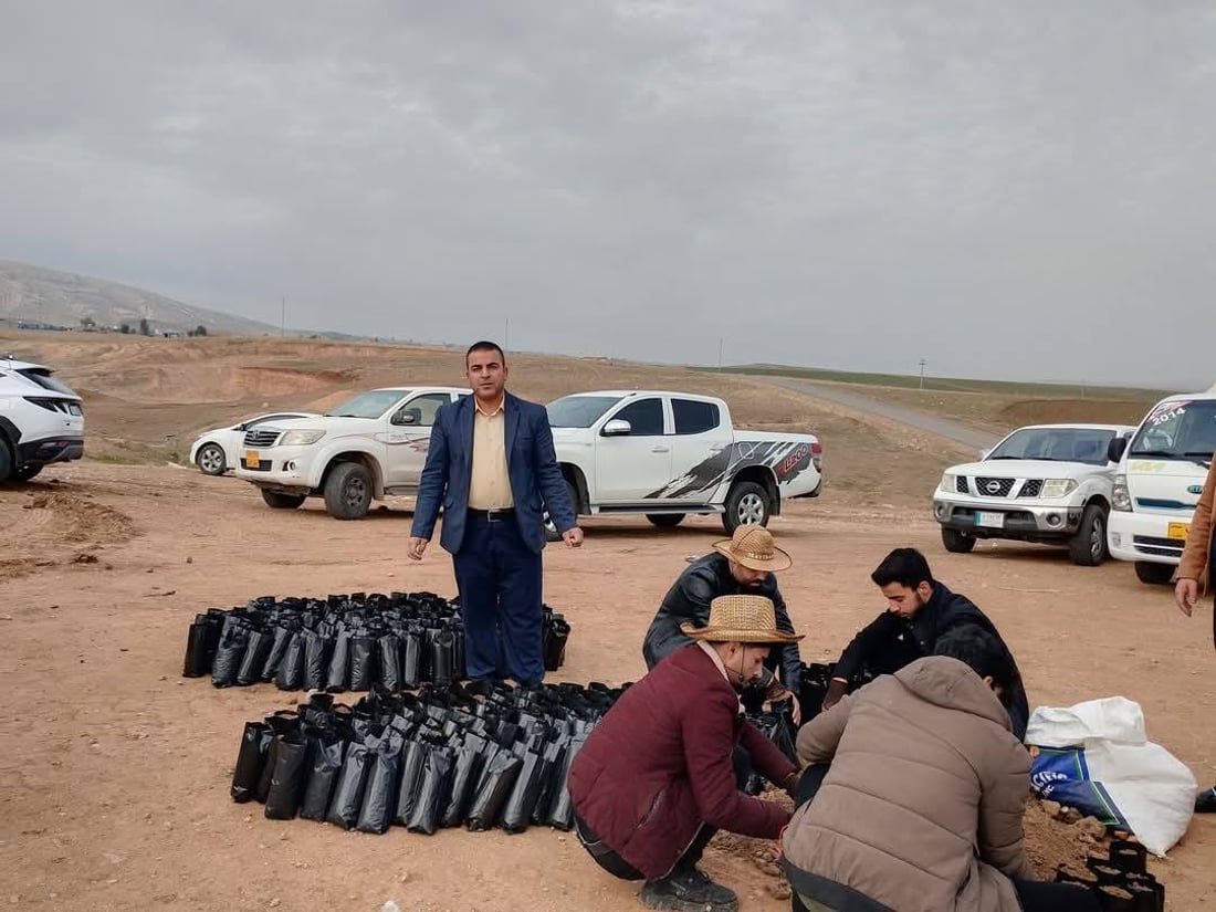 ژنێكی شیلادزێ 4000 به‌ڕوو بۆ سه‌وزكردنى چیاى مه‌قلوب دابین ده‌كات