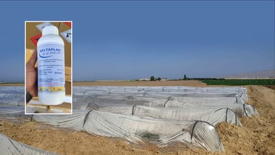 كشتوكاڵى مه‌خمور ده‌رمانى قڕكه‌رى به‌سه‌ر جوتیاران دابه‌شكرد