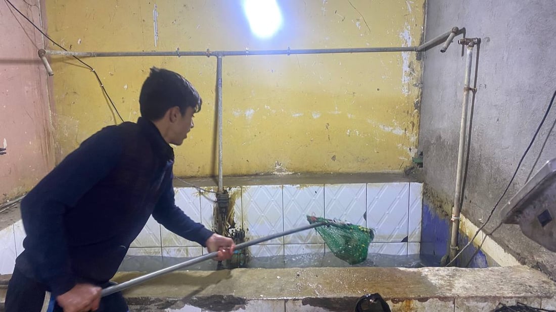 صور: قصابو أبو غريب أغلقوا محالهم بسبب ارتفاع الأسعار.. ودجاج أربيل أنسب البدائل