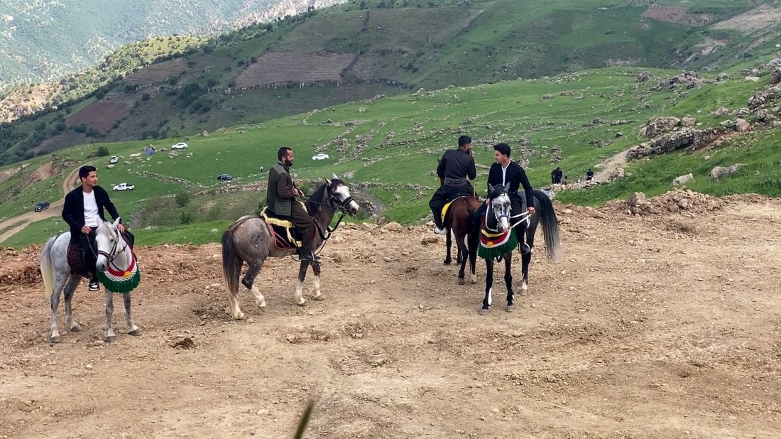 خيول وثيران على جبال أربيل.. بدأ مهرجان الفروسية في سوران