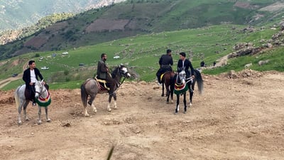 خيول وثيران على جبال أربيل.. بدأ مهرجان الفروسية في سوران