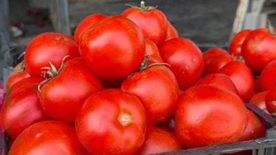 تەماتە جارێکی دیکە دۆخەکەی تێکدا و نرخه‌كه‌ی له‌ سلێمانی بەرز بووەوە