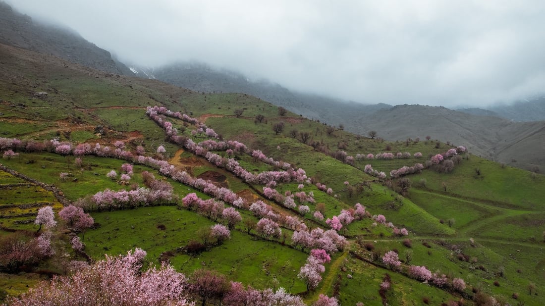 بارانبارین بەردەوام دەبێت و کەشەکە فێنک دەبێت