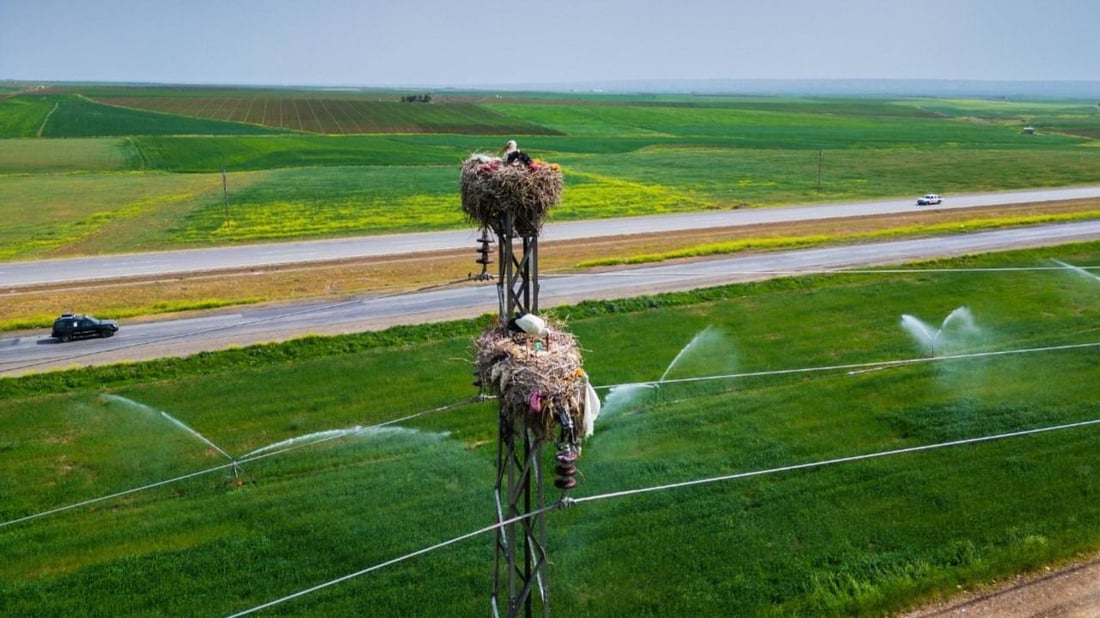 لە هەندێک ناوچەی کوردستان ئەگەری تاوە باران هەیە