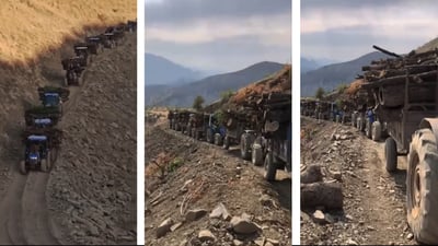 CPT: توركیا دەستی بە بڕین و گواستنەوەی دارستانەکانی ئامێدی كردووه‌