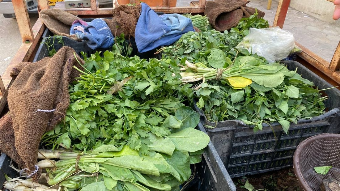 كم تربح؟.. دردشة مع “أبو ستوتة” خضار في البصرة: سيأتينا الريحان مبرداً من أربيل