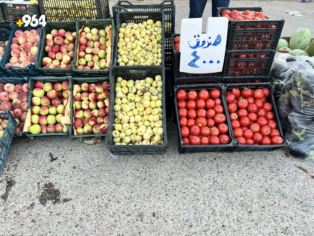 من قرى حديثة.. قائمة بأسعار خضروات وفواكه “الديرة” غرب الأنبار