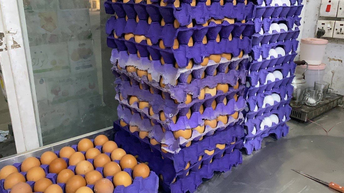 الناصرية تشتري البيض الإيراني.. والعراقي يصل إلى 6 آلاف دينار (صور)