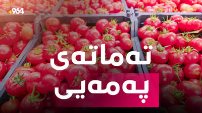 لەلای خەڵک تەماتەی پەمەیی رەواجی زیاترە